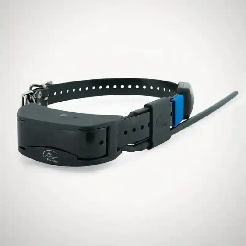 SportDOG TEK SERIES GPS TRACKING ADD-A-DOG COLLAR